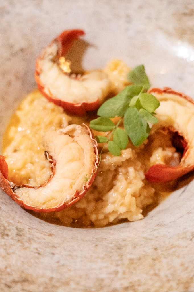 Risotto au homard