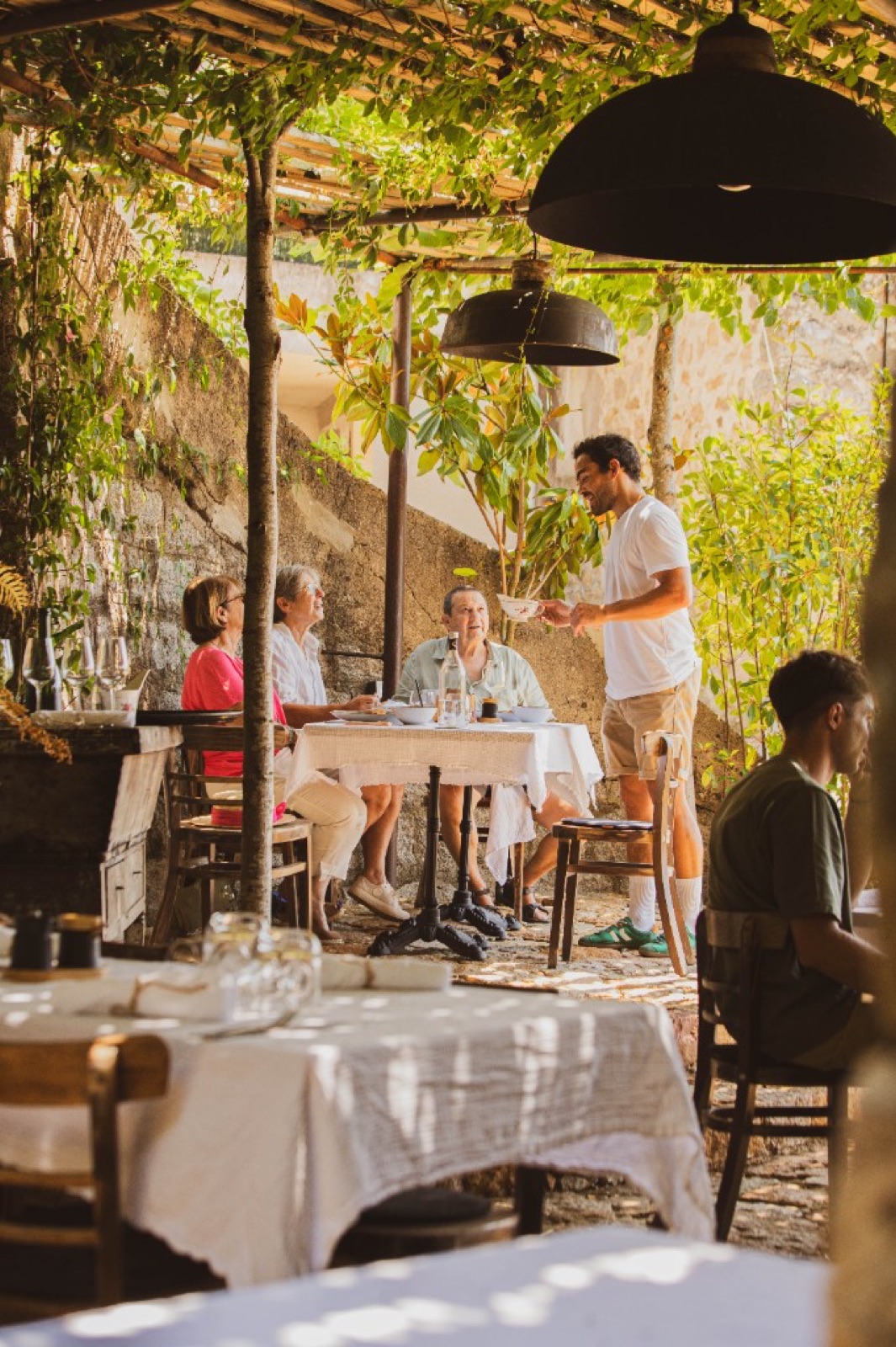 La terrasse sous la vigne